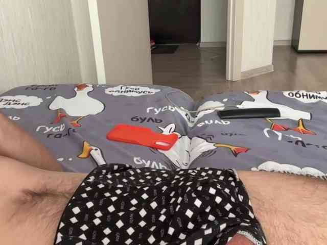 Alex2587Z1 Alex2587Z1