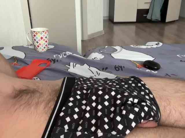 Alex2587Z1 Alex2587Z1