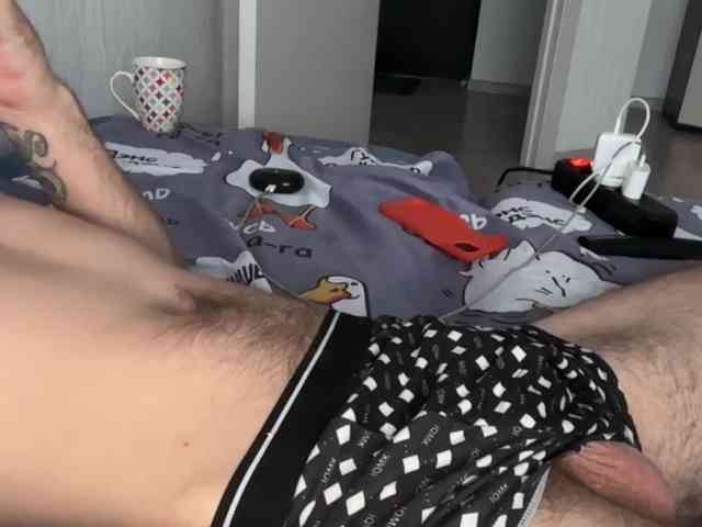 Alex2587Z1 Alex2587Z1