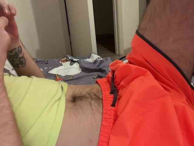 Alex2587Z1 Alex2587Z1