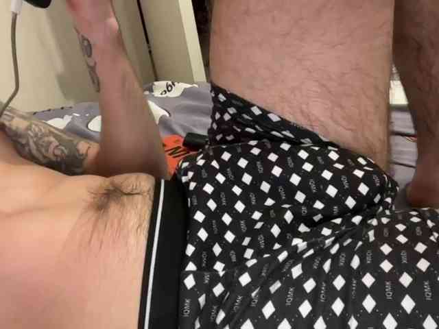 Alex2587Z1 Alex2587Z1