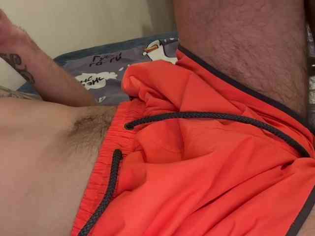 Alex2587Z1 Alex2587Z1