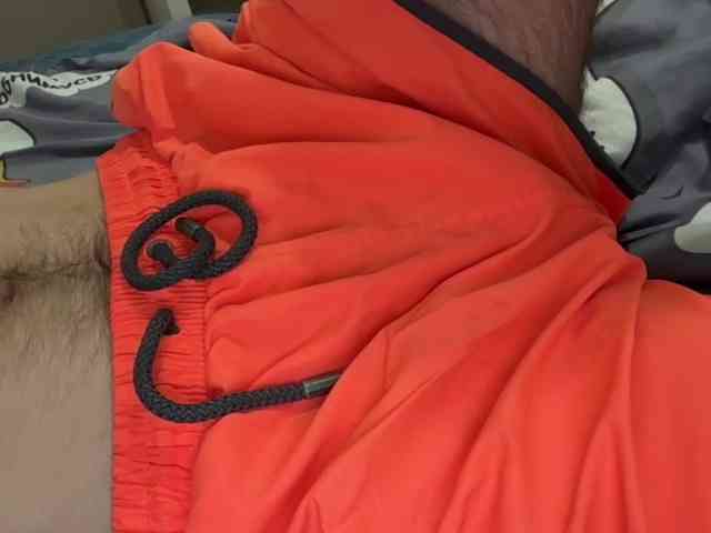 Alex2587Z1 Alex2587Z1