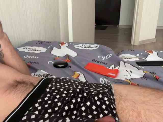 Alex2587Z1 Alex2587Z1