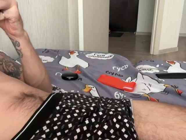 Alex2587Z1 Alex2587Z1