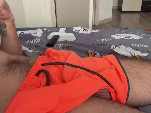 Alex2587Z1 Alex2587Z1