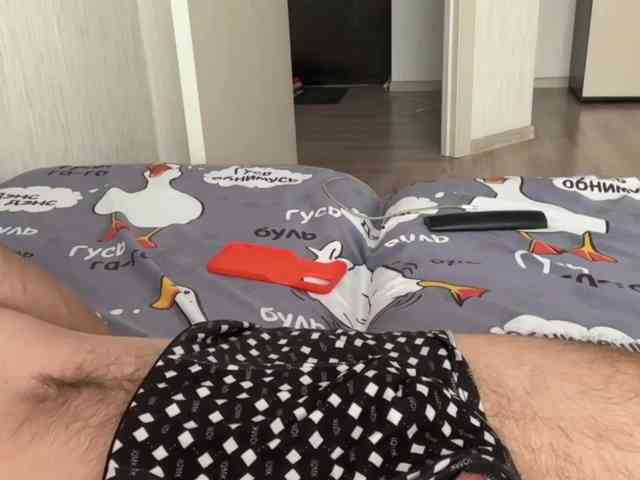 Alex2587Z1 Alex2587Z1