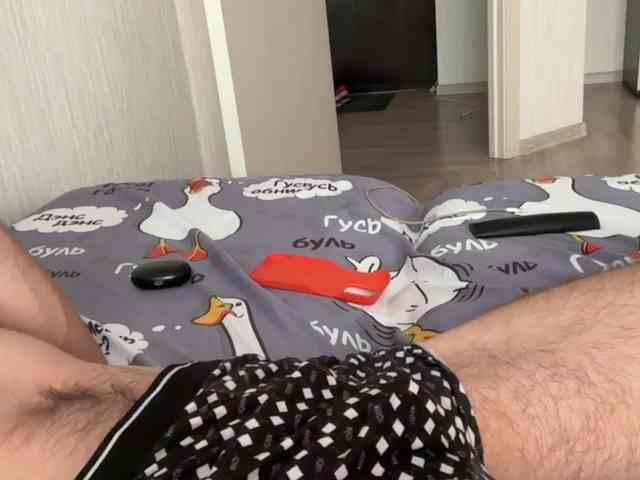 Alex2587Z1 Alex2587Z1