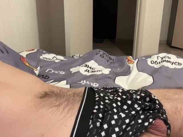 Alex2587Z1 Alex2587Z1