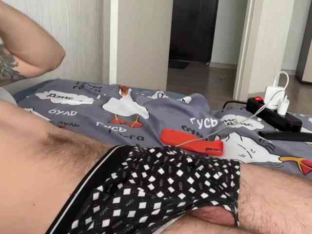 Alex2587Z1 Alex2587Z1