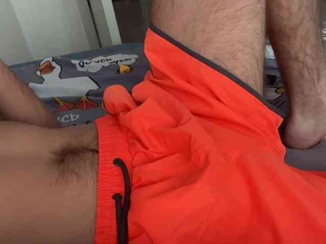 Alex2587Z1 Alex2587Z1