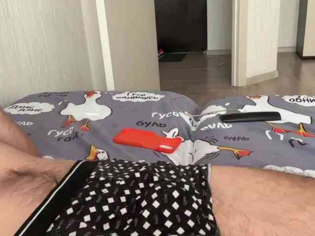 Alex2587Z1 Alex2587Z1