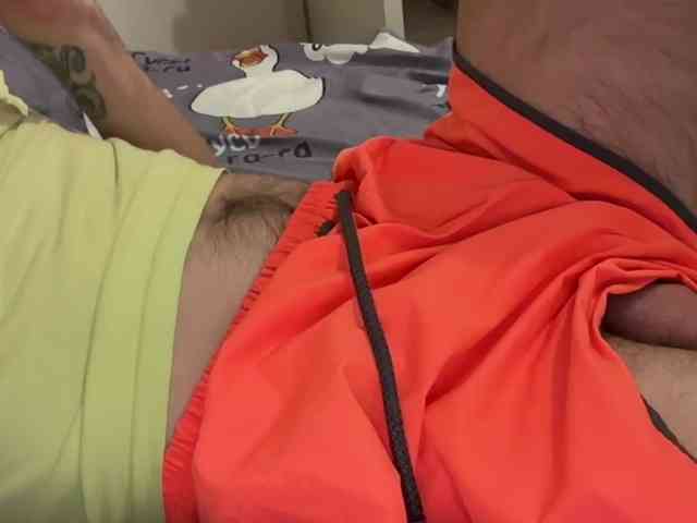 Alex2587Z1 Alex2587Z1