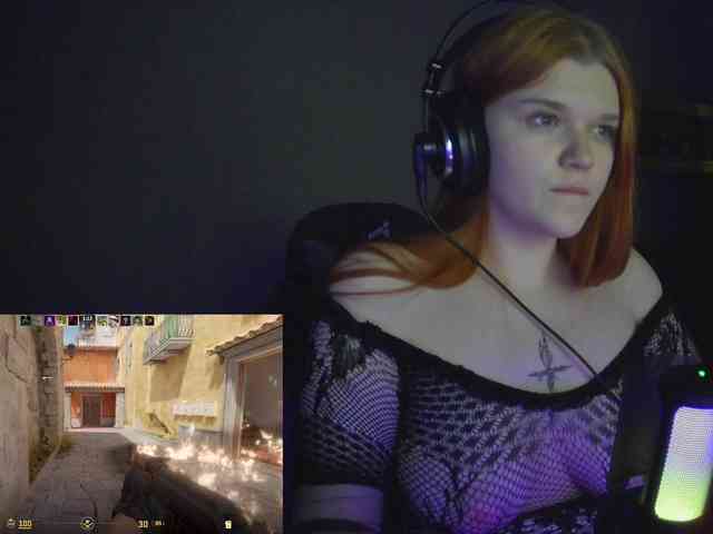 purple-hornet0 purple-hornet0