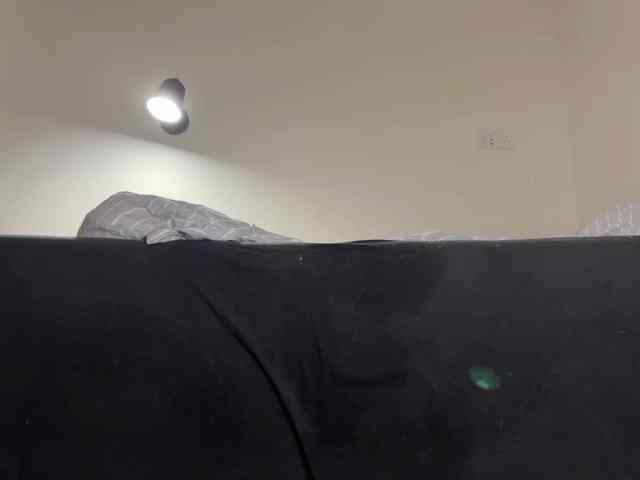 holasunflower webcam