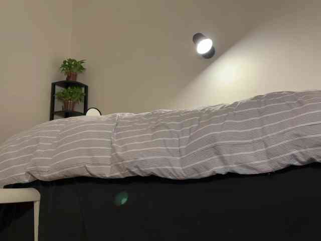 holasunflower webcam