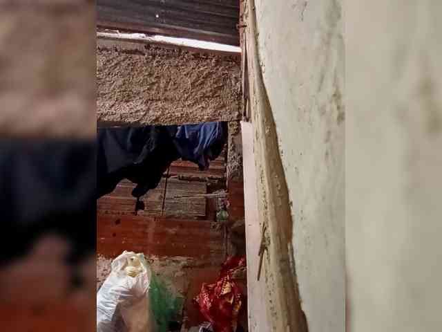 rossana-queen rossana-queen