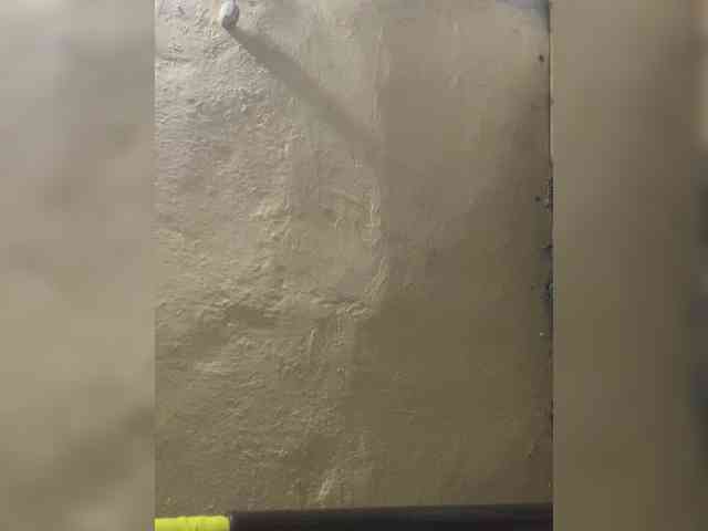 rossana-queen rossana-queen