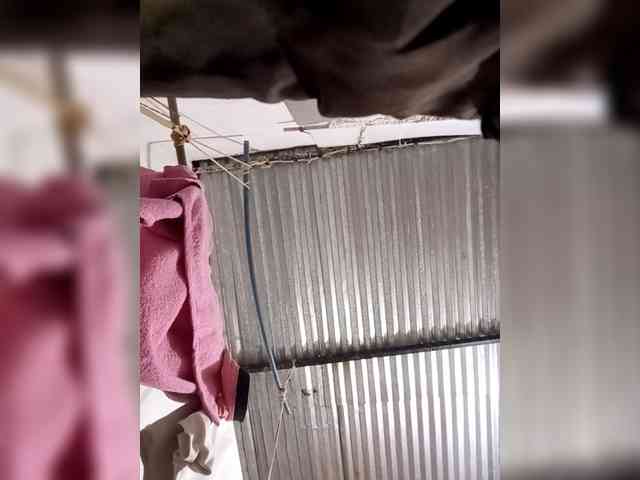 rossana-queen rossana-queen