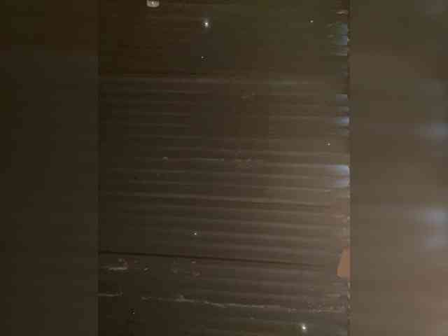 rossana-queen rossana-queen