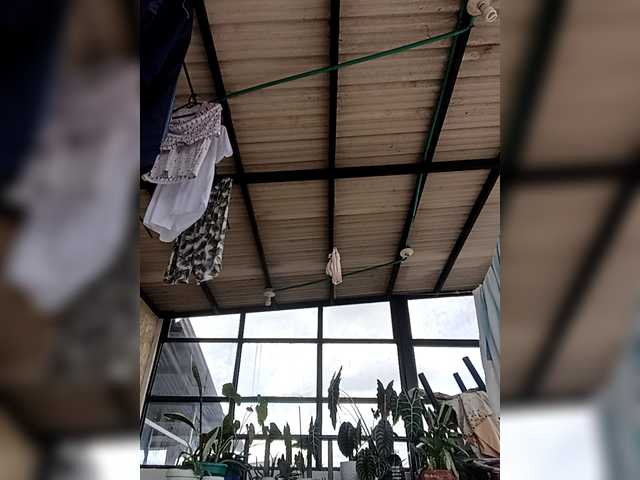 TaniaMarqueza's BongaCams show and profile