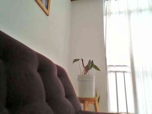 TaniaMarqueza webcam