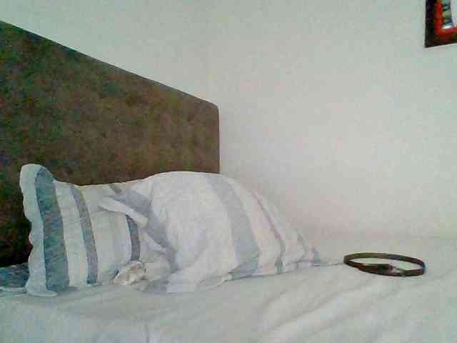 TaniaMarqueza webcam