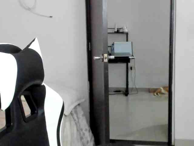 LaraCat1 webcam