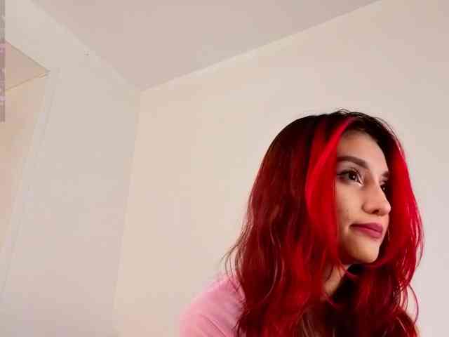 Linaage webcam