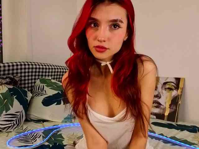 Linaage webcam