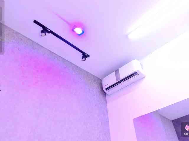 IrisHerrera IrisHerrera