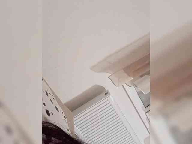 SophiaFlores SophiaFlores