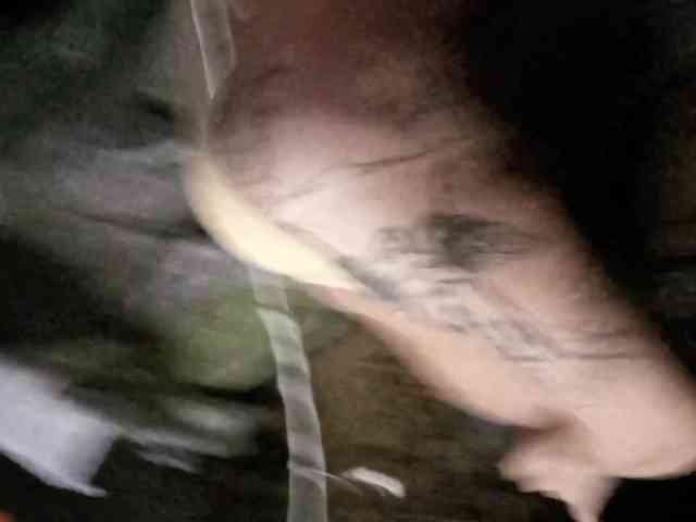 MatildaEinhorn webcam