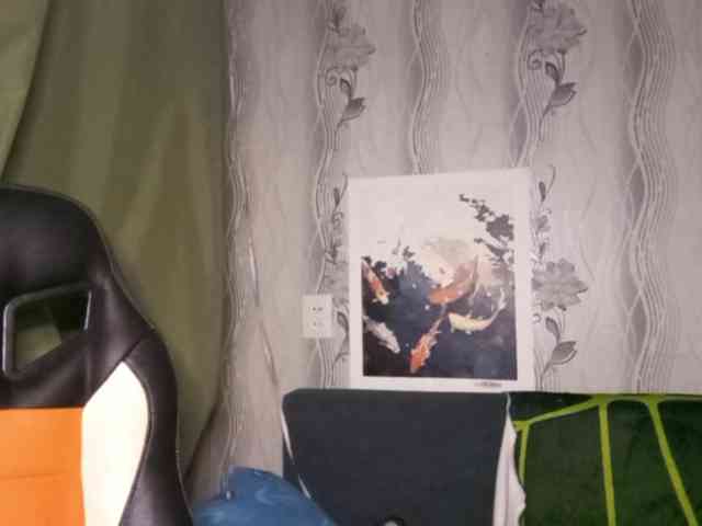 MatildaEinhorn webcam