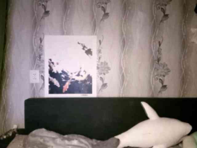 MatildaEinhorn webcam