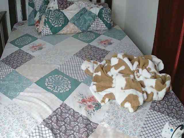 CuteSelena CuteSelena