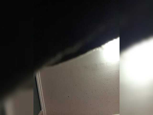 exnasisi webcam stream