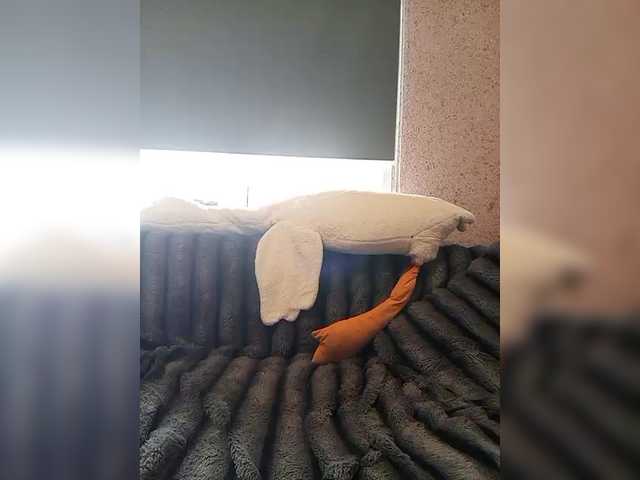 exnasisi's BongaCams show and profile