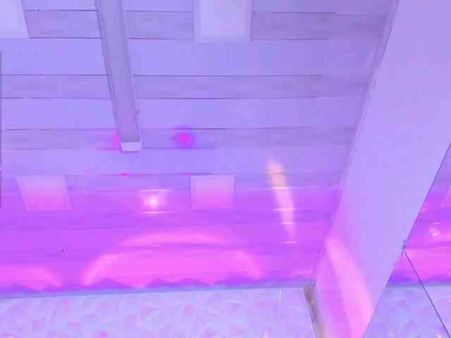 Sofia-Love7 Sofia-Love7