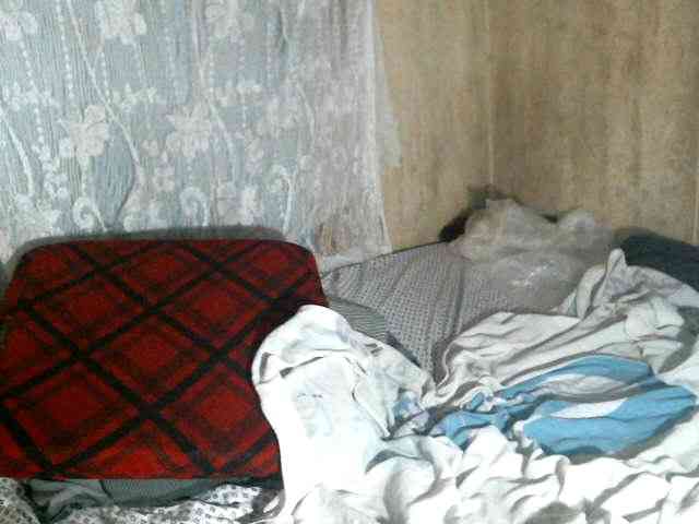 Cute-Viviana Cute-Viviana