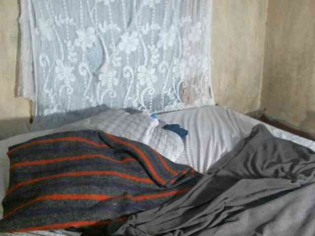 Cute-Viviana Cute-Viviana