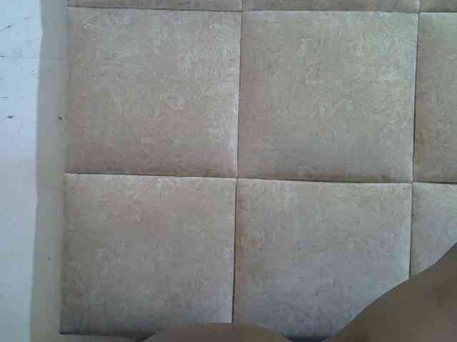 Collegebjxx21 webcam