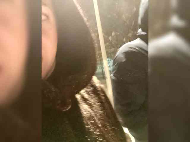 Your_favorite_couple webcam