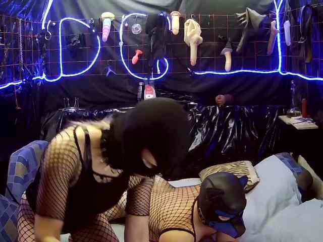 Gospozha-I-Doberman webcam