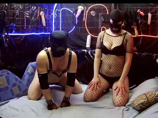 Gospozha-I-Doberman webcam