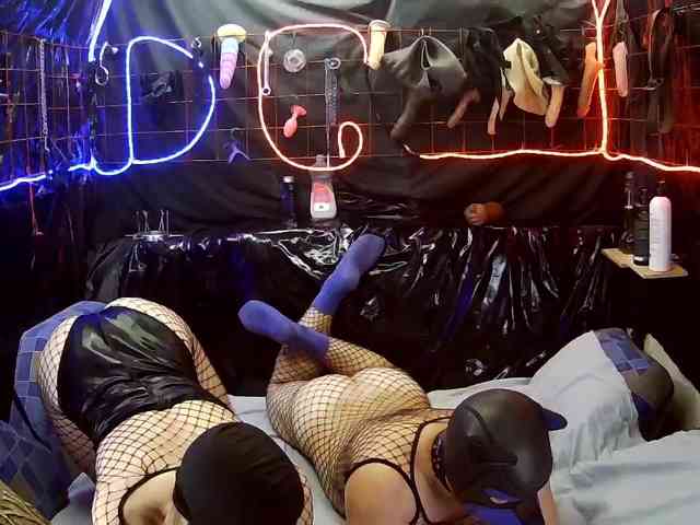 Gospozha-I-Doberman webcam