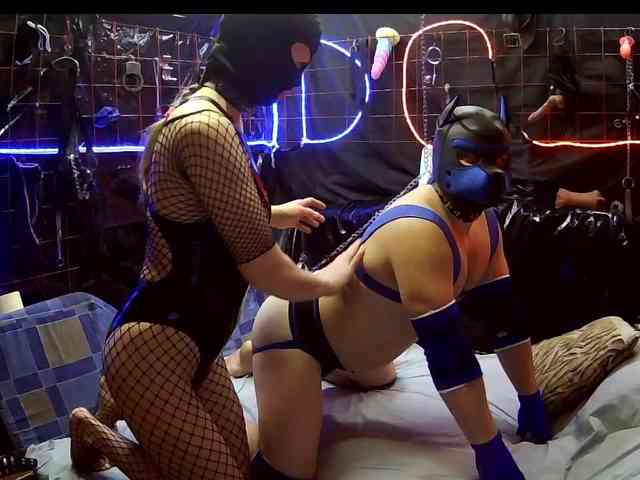 Gospozha-I-Doberman webcam