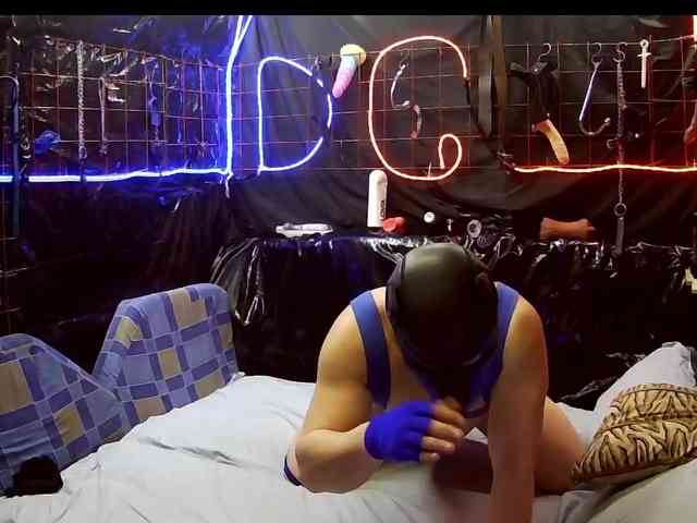 Gospozha-I-Doberman webcam