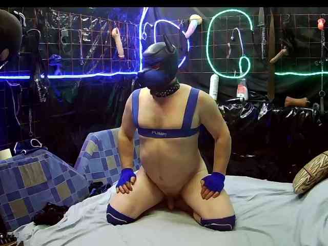 Gospozha-I-Doberman webcam