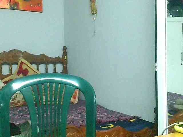 dirtypigmature dirtypigmature